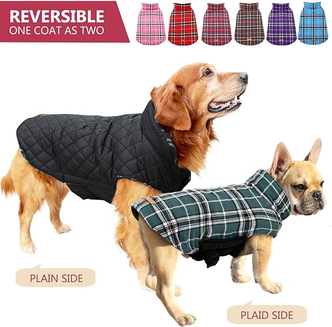 Weatherproof pup outerwear